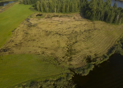 Vakarbuļļu pļavas.