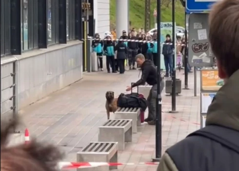 ВИДЕО: как на остановке в центре Риги искали бомбу