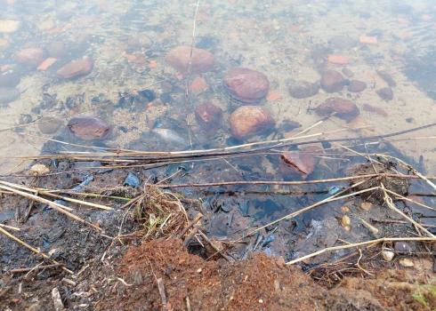 Alūksnes ezera peldvietā pašvaldība plāno attīrīt grunti no stikla lauskām