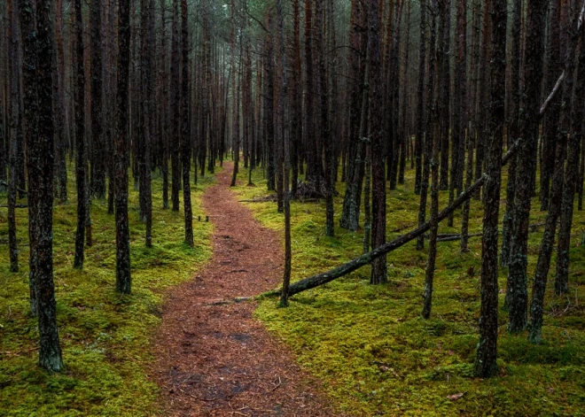 Nonāvēja un pameta mežā - klasesbiedres slepkavam samazināts cietumsods