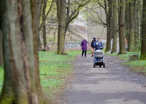 Иллюстративное фото