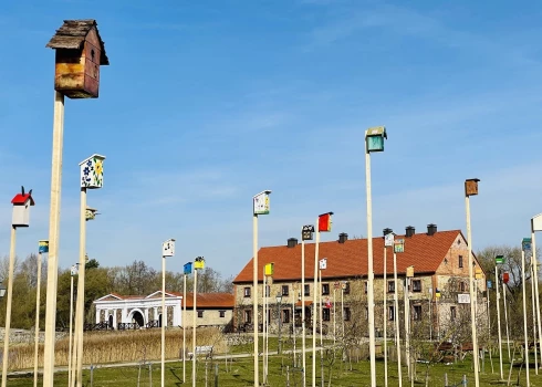 Такого еще не видели: в северной Литве создали новый город для необычных жителей
