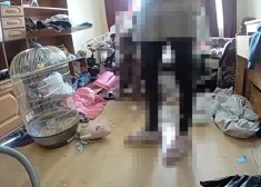 В Кенгарагсе из антисанитарной квартиры с пьяной матерью полиция изъяла четырех маленьких детей