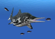 Pēc fosiliju atradumiem identificē senu, gigantisku jūras rāpuli