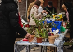 Весна "на улице Ластадии": воскресные посиделки и сувенирные мастерские вплоть до конца июня