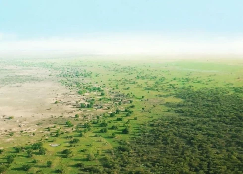 Āfrikas valstis būvē zaļo mūri pāri kontinentam 