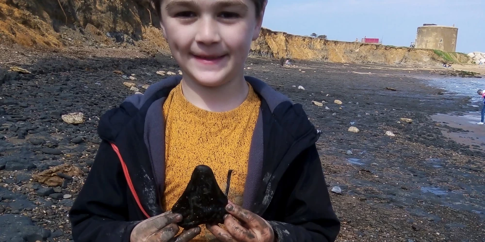 6-летний британец нашел на берегу моря огромный клык вымершей акулы, которому пара десятков миллионов лет