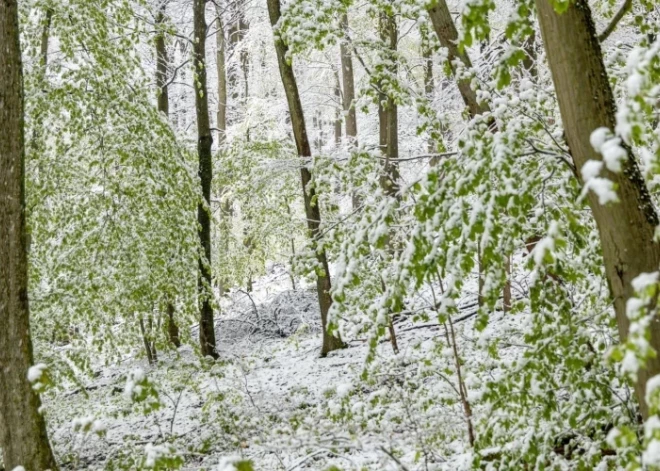 В понедельник ожидается оранжевое предупреждение: легкий мороз, очень сильный снег, гололедица