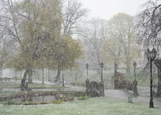 ФОТО: в конце апреля Ригу замело снегом