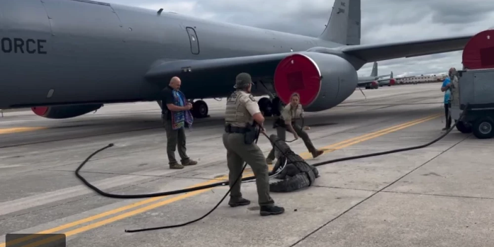 Аллигатор заполз на базу ВВС США и заблокировал военный самолет