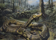 Indijā atrasta aizvēsturiska milzu čūska