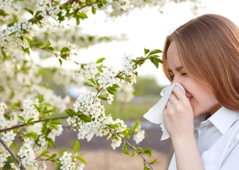 Pavasara alerģijas skar 15-20% iedzīvotāju