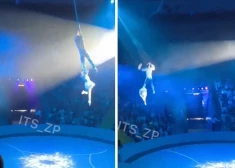 ВИДЕО: артисты цирка сорвались с высоты прямо во время представления