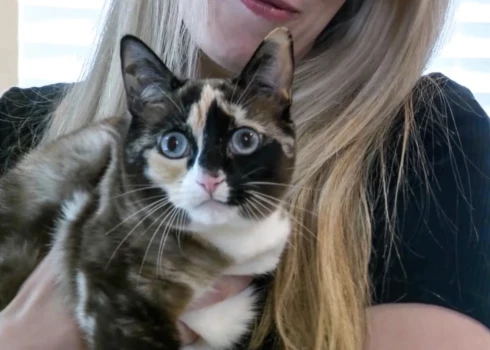 Pēc ekstremālajiem piedzīvojumiem Galena atkal ir mājās (ekrānuzņēmums no "X")