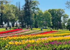 Foto: Pakrojas muižā norisinās Baltijā lielākais ziedu festivāls
