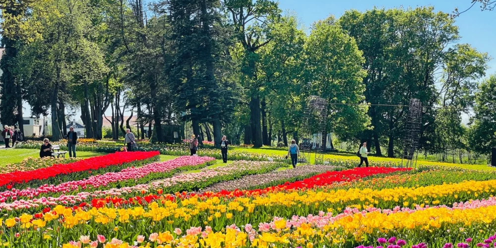 Самое "цветущее" направление для поездки на майские праздники: в Пакруойской усадьбе стартовал крупнейший в странах Балтии фестиваль цветов