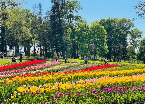 Самое "цветущее" направление для поездки на майские праздники: в Пакруойской усадьбе стартовал крупнейший в странах Балтии фестиваль цветов