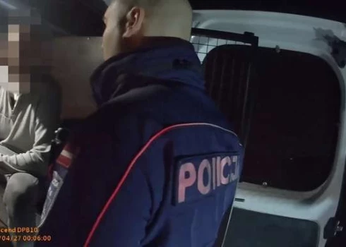 "Мне нужно покакать": пьяный водитель пытался договориться с полицией, чтобы они отвезли его домой