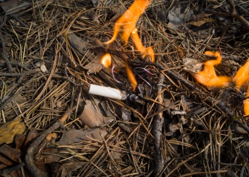 Курить - не только себе вредить! Названа самая частая причина лесных пожаров в Латвии