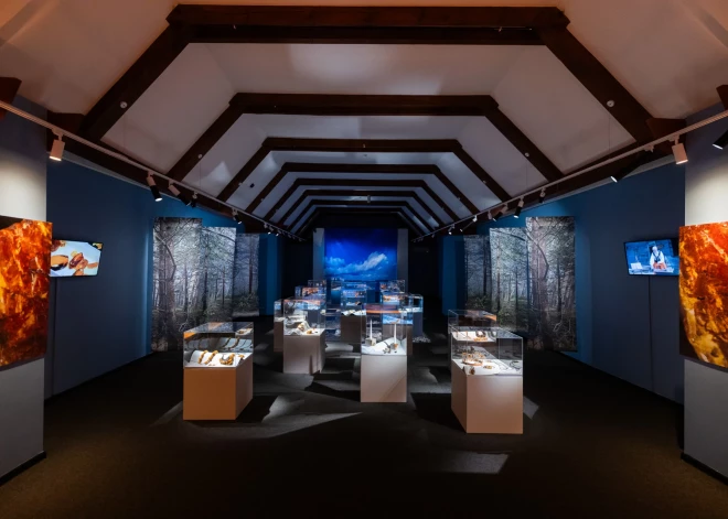 Kur aiziet un ko redzēt? Ķivere pret pirātiem, vienīgais Baltijas pusdārgakmens un veca kroga loga rāmis: izstāžu ceļvedis