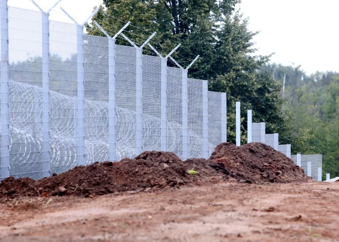 Izbeigta krimināllieta par patvaļīgu koku ciršanu dabas liegumā austrumu robežas izbūvei