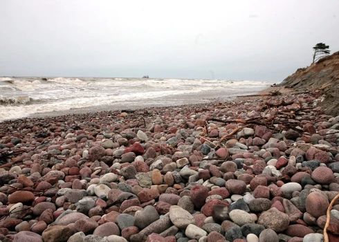 Jau viena trešdaļa Baltijas jūras ir mirusi, brīdina par sliktu ekoloģisko stāvokli