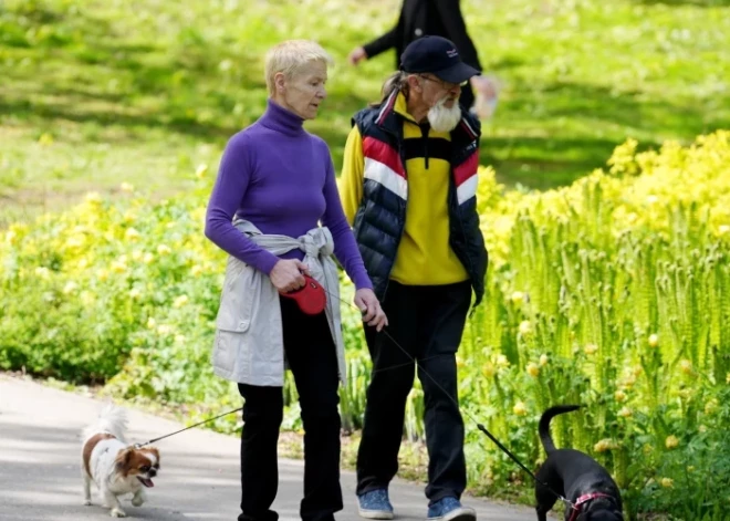 В Риге сегодня не будет теплее +10