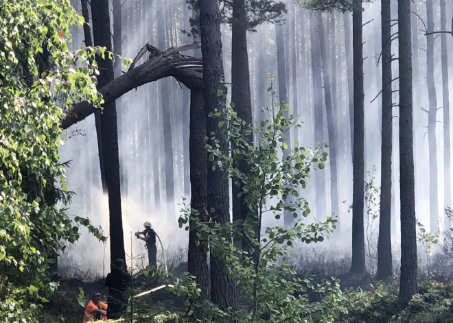 Valkas novadā dzēsts šogad lielākais meža ugunsgrēks