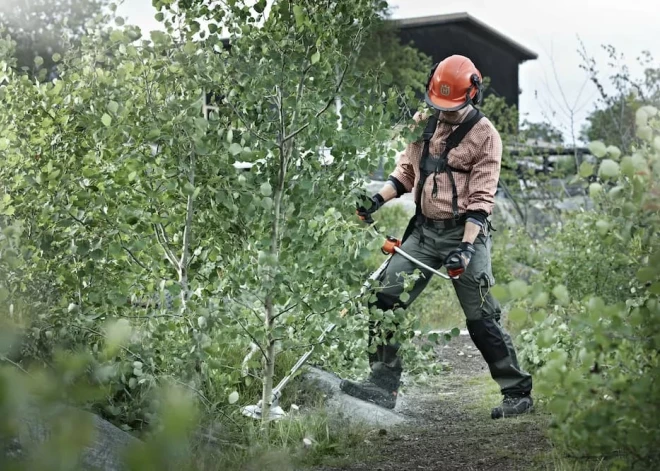 Labākie krūmgrieži tavam dārzam – kā izvēlēties piemērotāko?