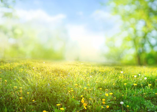 Māmiņdienā gaidāms saulains laiks