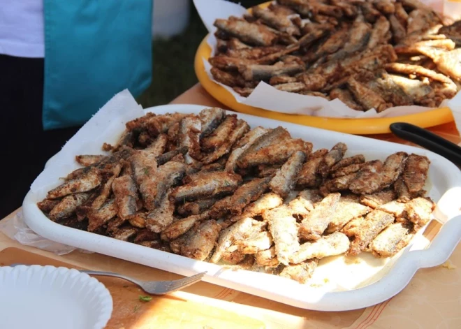 Reņģēdāji, sarosieties! Salacgrīvā notiks Reņģēdāju festivāls