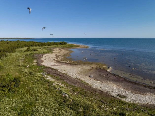 Хыралайд – уникальный частный остров с правом застройки недалеко от Хийумаа.