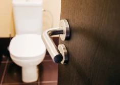 150-летняя история туалета: почему больше не используются позолоченные украшения?