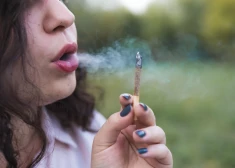Baidens paziņo, ka marihuāna ASV tiks klasificēta kā mazāk bīstama narkotika
