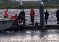 ВИДЕО: в Вецмилгрависе из воды достали утонувшего человека