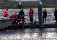 ВИДЕО: в Вецмилгрависе из воды достали утопленника