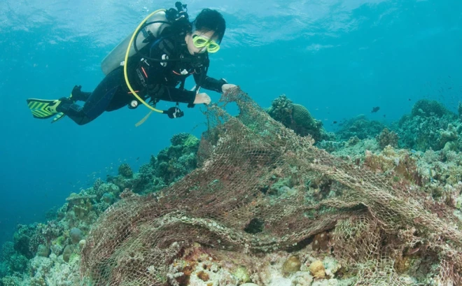 Ik gadu Baltijas jūrā tiek nozaudēti ap 10 tūkstošiem tīklu.
