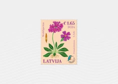 "Latvijas pasts" izdos pastmarku ar aizsargājamo bezdelīgactiņu ziediem 