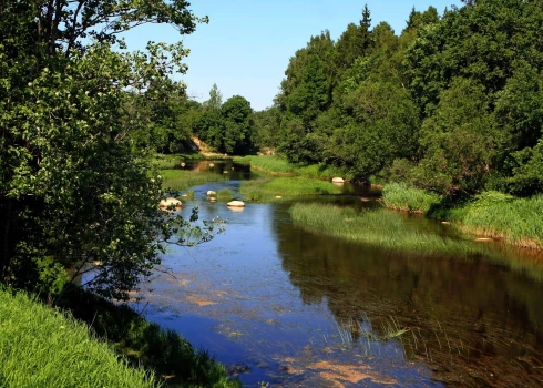 Latvijas upes turpina uzsilt. LVĢMC dalās ar iepriecinošām temperatūras turpmākajām prognozēm