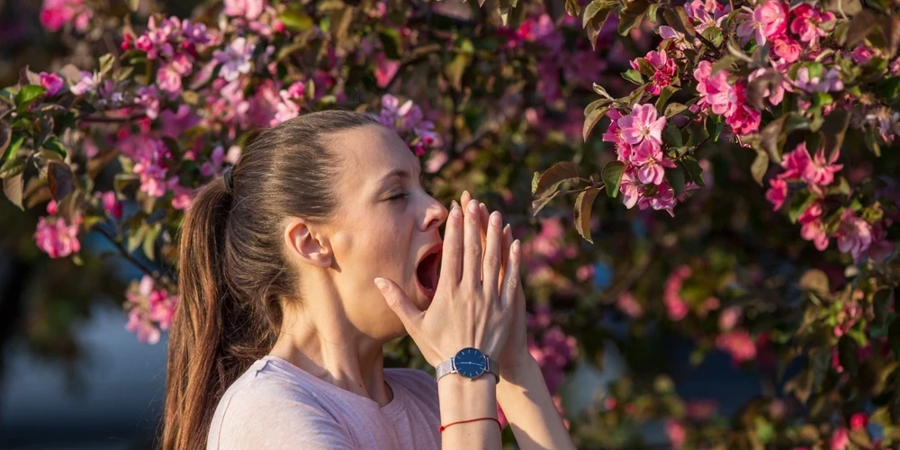 Apnicīgas iesnas, asaro acis, moka klepus - ieteikumi, kā alerģiskiem cilvēkiem atvieglot dzīvi ziedēšanas sezonā