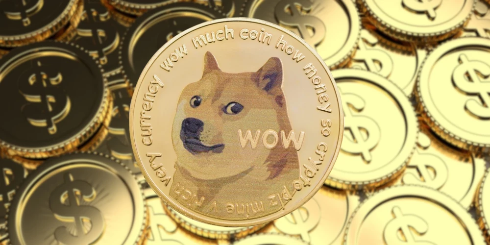 Изображение Кабосу на криптовалюте Dogecoin.