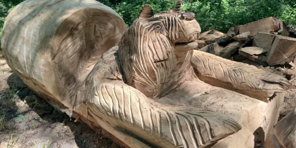 Strenču Gaujas dabas takas teritorijā tiks uzstādītas jaunas koka skulptūras