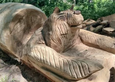 Strenču Gaujas dabas takas teritorijā tiks uzstādītas jaunas koka skulptūras
