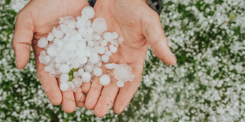 Viens mirklis – un postījumi nodarīti.