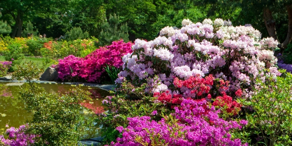 Иллюстративное фото.