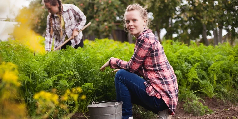 Nodokļu samaksas nosacījumi ir atkarīgi no tā, kāds nodokļu maksāšanas režīms ir skolēna darba devējam.