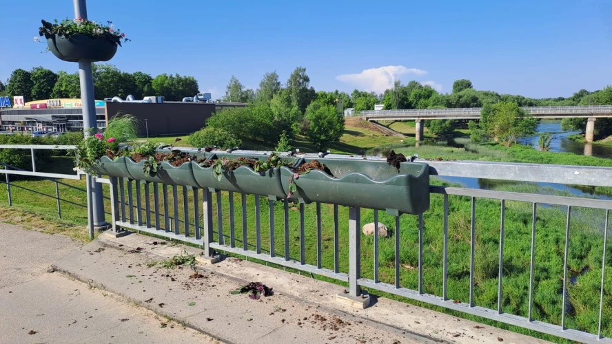 Līvānos naktī uz sestdienu kādi ļaunprāši uz Dubnas tilta no puķu kastēm izrāvuši tajās iedēstītos ziedus. Policisti uzsākuši tvarstīt “puķumīļus”.