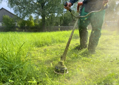 Trimmeru savainojumi ir ārkārtīgi kropļojoši.