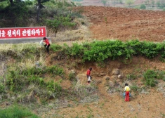 Ziemeļkoreja turpina ierasto metodi un ar baloniem nomet atkritumus Dienvidkorejas pusē
