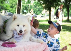 "Labdarības tirgus diena II", kurā vāc līdzekļus "ķepu terapijas" projekta īstenošanai (foto: Santa Dunaiska)